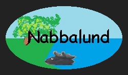 nabbalund